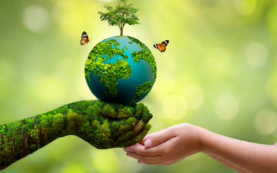 Building a Sustainable Future Through Responsible Choices